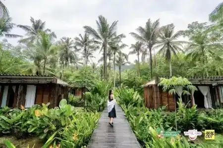 Jungle Koh - 37