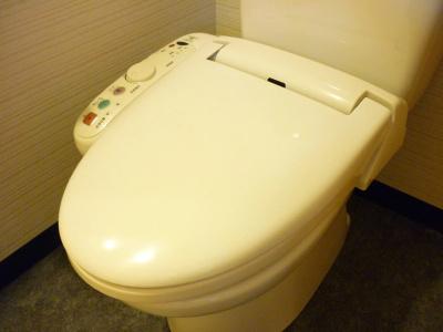 Apa Honhachinohe - 8