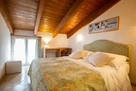 Stella d'Oro - 30