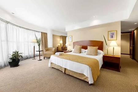 Melia Buenos Aires - 139