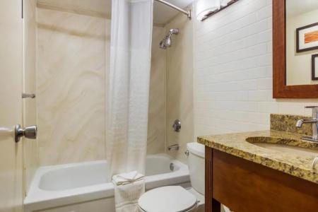 Comfort Inn Denver Central - 60