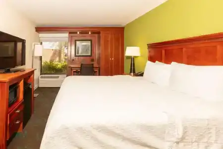 Hampton Inn Daytona Beach-Speedway/Airport - 12