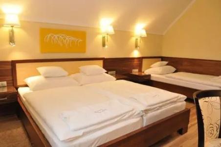 Mizse Motel - 1