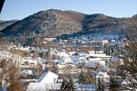 Heikenberg - 8