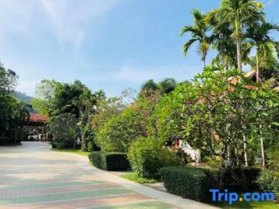 Try Palace Resort - 52