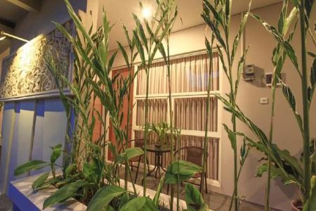 Bali True Living - 36