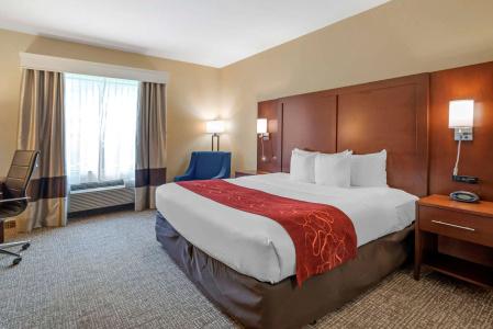 Comfort Suites North - 67