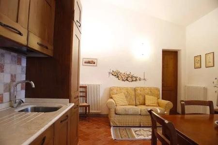 Gatto Bianco Tizzauli - 38