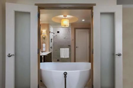 The Stephen f Austin Royal Sonesta - 75