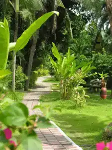 Samui Beach Resort - 4