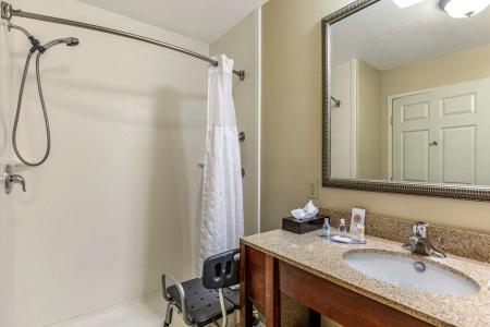 Comfort Inn Saint George North - 48