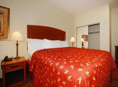 Best Western Plus San Antonio East Inn & Suites - 10