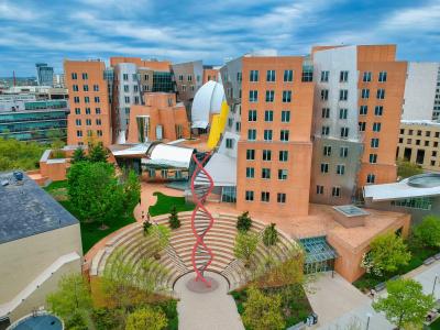 Holiday Inn Express & Suites Boston -, an IHG - 11