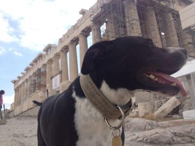 Athens Backpackers - 15
