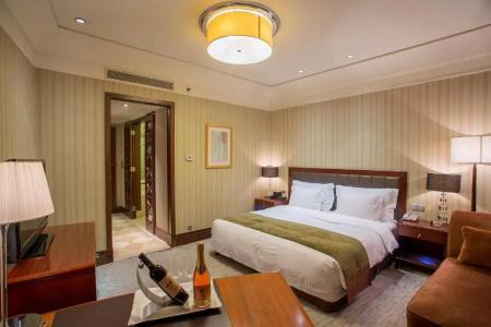 Wuhan Jin Jiang International - 65