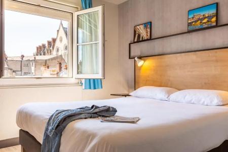 ibis Blois Centre Château - 48