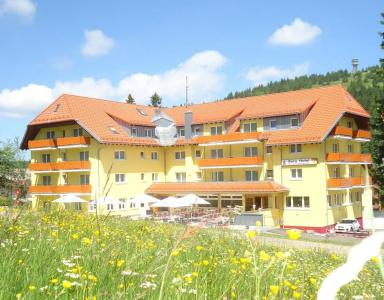Burg Feldberg - 16