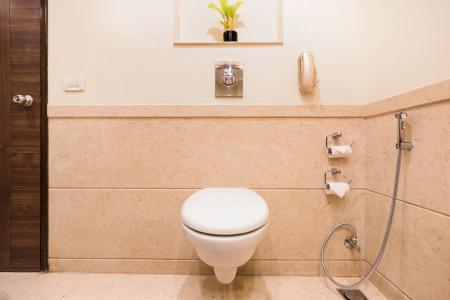 Lemon Tree Premier, Ulsoor Lake, Bengaluru - 64