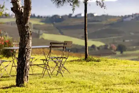 Tenuta Di Colle Alberti - 19