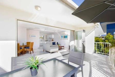 Noosa River Palms - 90
