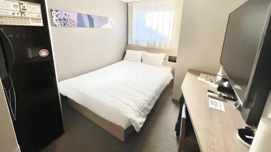 Henn na Tokyo Nishikasai - 24