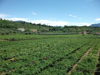 Agriturismo La Rocca - 21