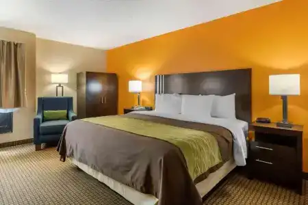 Comfort Inn 290/Nw - 32