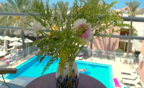 Kallitsakis Beach - 43