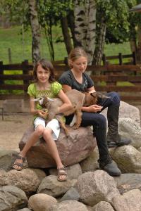 Ferienpark Heidenholz - 21