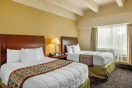 Rodeway Inn Denver Downtown - 39