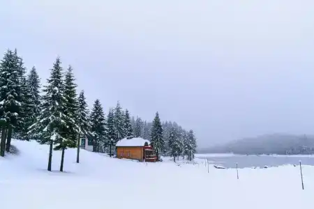Romantica Forest Holiday Village - 15