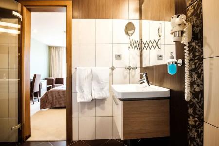 Comfort with free Wellness and Fitness Centrum - 8