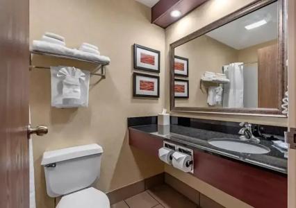 Comfort Inn Civic Center - 56