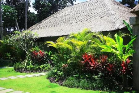 The Hidden Paradise Ubud - 29