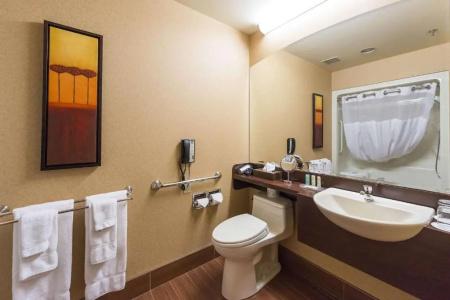 Quality Inn & Suites - 50
