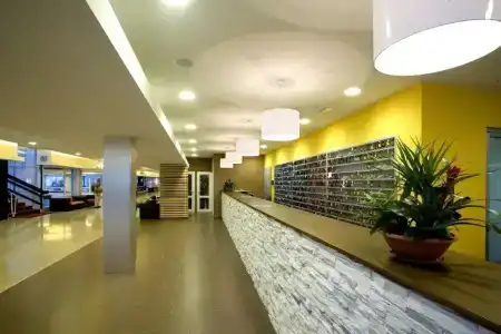 Delfin Plava Laguna - 11