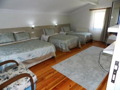 Abant Bahceli Kosk - 3