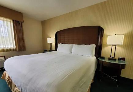 Rogue Regency Inn & Suites - 47