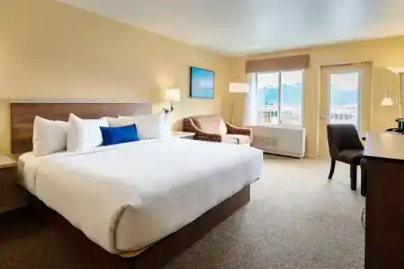 Harbor 360 - 21