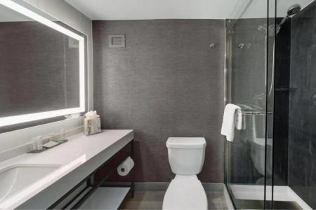 Houston Marriott North - 24