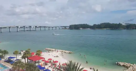 Coconut Cove All Suite - 13