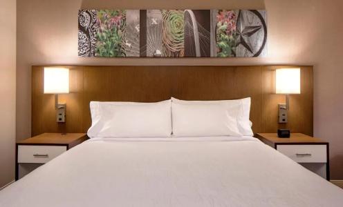 Hilton Garden Inn Downtown Dallas - 53