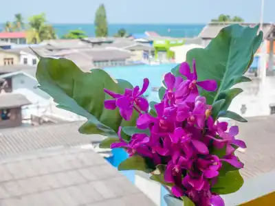 Chomsin Hua Hin - 18