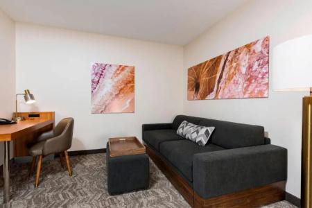 SpringHill Suites North - 5