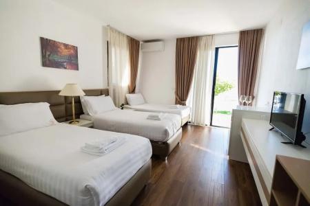 Chateau Linza - 6