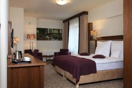 Mercure Krynica Zdrój Resort&Spa - 53