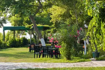 Troas Beach - 8