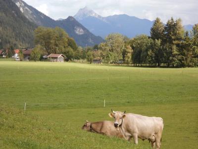 Appartement-Happy Kienberg - 18