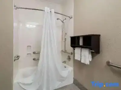 SureStay Plus by Best Western - 65