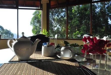 Sky Green Resort - 7